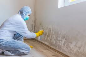 Best Basement Mold Removal in Cooperstown, NY